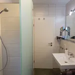 Apartment Meran Inkl Meinecardplus Willingen (Upland)