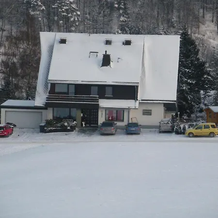 Appartement Meran Inkl Meinecardplus Willingen (Upland)