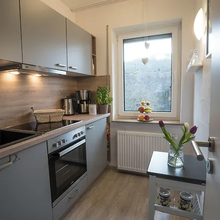 Apartamento Meran Inkl Meinecardplus Willingen (Upland)