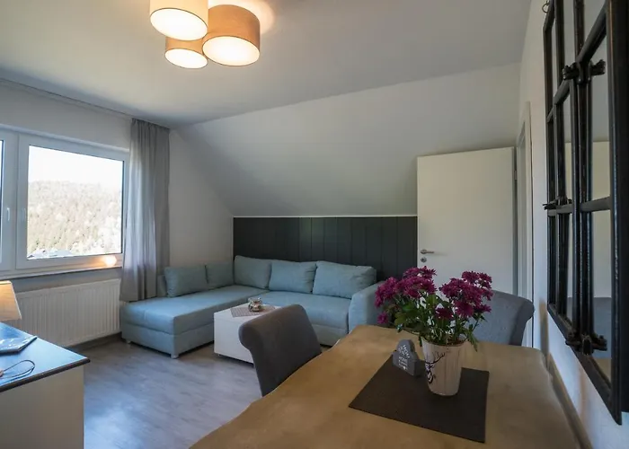 Apartman Meran Inkl Meinecardplus Willingen