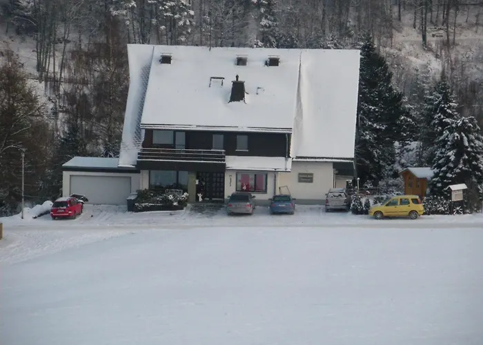 Διαμέρισμα Meran Inkl Meinecardplus Willingen (Upland)