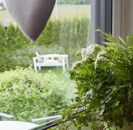 Meran Apartment Willingen (Upland)